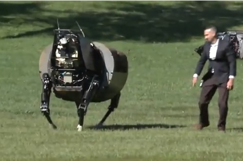 Is the Military Making a Robotic Horse?