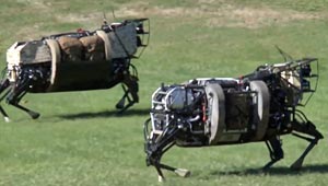 Disturbing robotic horse (